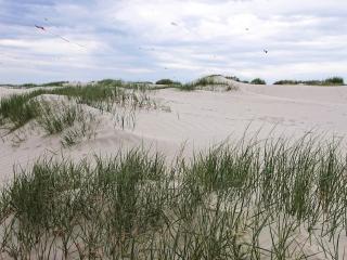 4 person holiday home in Fanø-By Traum - 5