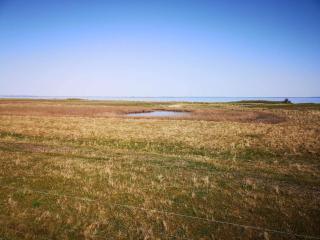 Panoramic Retreat in Borgnaes - 8
