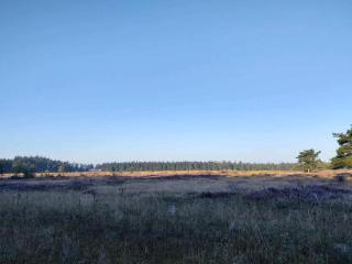 4 person holiday home in Hovborg-By Traum - 2