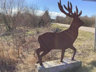 8 person holiday home in Brovst-By Traum - 3