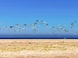 5 star holiday home in Skagen-By Traum - 8
