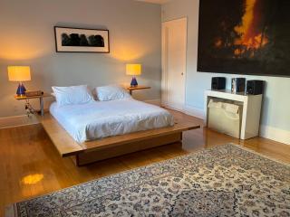 Stunning Glamorous Townhouse in Downtown Montreal - 3