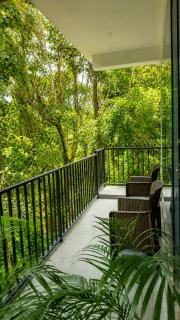 Terra Green Nature Stay, Wayanad - Meppādi - 1