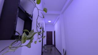 Nugasewana Guest house - 6