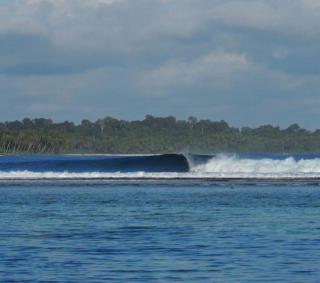 Telosforeshousesurf - 5