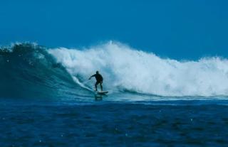 Telosforeshousesurf - 4