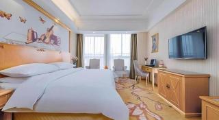 Vienna Hotel Wuhan Huazhong Normal University Huquan Metro Station - 1