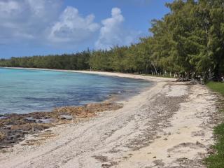 Starlit Retreat - Brand New Cottage Steps from Caribbean-Side home - 0