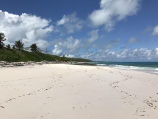 Starlit Retreat - Brand New Cottage Steps from Caribbean-Side home - 8