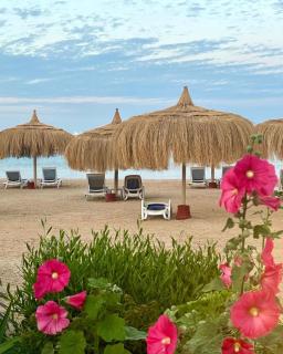 Luxury Studio, pool, Private beach & close to Airport - 0