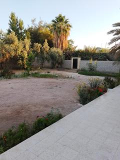 Alshahen - 9