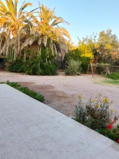 Alshahen - 4