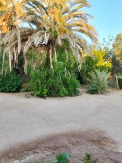 Alshahen - 1