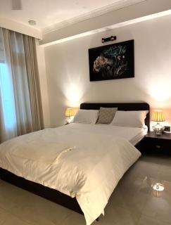 D&L Suites 2BHK - 5