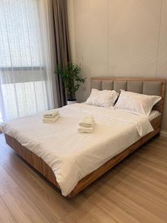 Апартаменты бизнес-класса 55 м Four Seasons Astana - 4