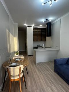 Апартаменты бизнес-класса 55 м Four Seasons Astana - 7