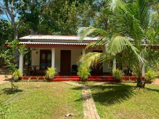 Wilpattu Wild Horizon - 9