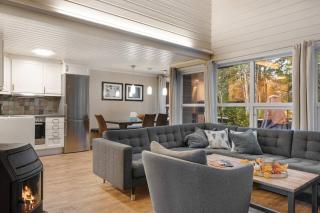 AB38- Large family cabin on Alpingrenda close to the slopes - 0