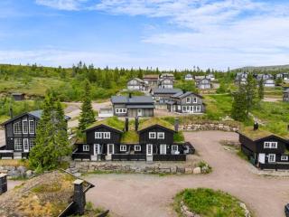 FA1103 Modern Ski-in/Ski-out Trysil Cabin - 0