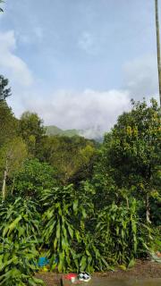 Wildwood banasura resort - 2