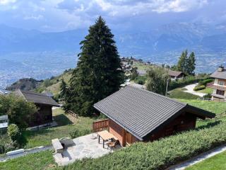 Petit chalet du leigier - 8