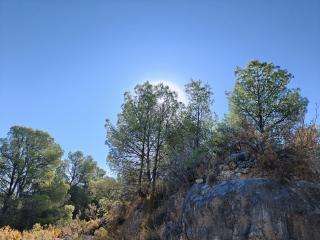 Forest Retreat Naturally Cool, Stunning Views, privacy and an 80M2 Extra-Large Swimming Pool - 1