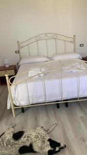 La casa di carolina - 7