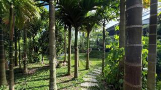 Bao Ong Thien Retreat and Senior Living - Khu Nghỉ Dưỡng Bào Ông Thiền - 5