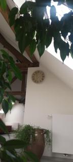 Le gîte du Rigaumont - Soignies - 8