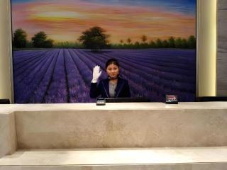 Lavande Hotel Changsha High-Speed Railway Station Shumuling Metro Station - 2
