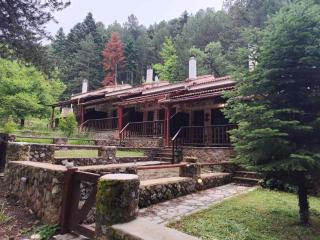 Elatolithos - 4