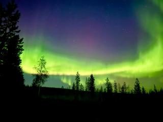 Aurora sky cabins - luxury glass igloo chalets with private outdoor saunas - 7