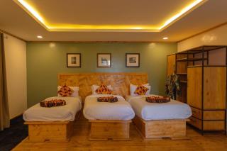 Davinci Gorilla Lodge - 5