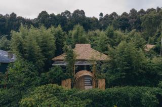 Davinci Gorilla Lodge - 6