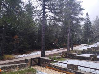 Elatolithos - 3