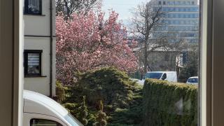 Eurokrak apartament dwupokojowy parking wifi - 1