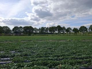 De Strijpse Hoeve - 9