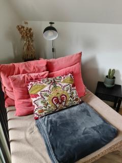 Volledig gerenoveerde luxe gastsuite met ontbijt - 6