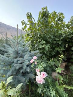 Guldan Guest House - 5