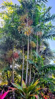 Lush Getaway - 3
