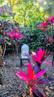 Lush Getaway - 1