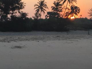 Paradise comfort - 1