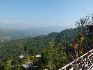 Agro Nest Farm Pvt Ltd - 3