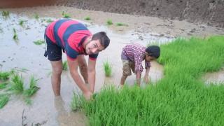 Agro Nest Farm Pvt Ltd - 2