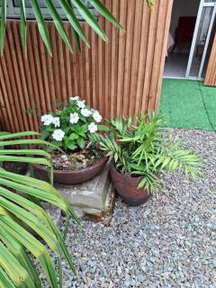 Palma House - 8