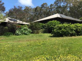St Clair Bungalow- rest, relax in nature, large bath and forest views - 1