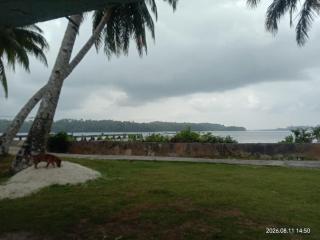 Telosforeshousesurf - 7