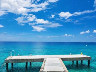Oceanfront Condo w Onsite Diving & Restaurant - 9