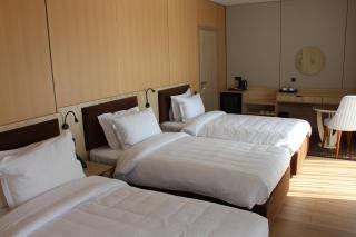 Embassy Hotel Tashkent - 5