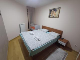Apartman Petrov - 9